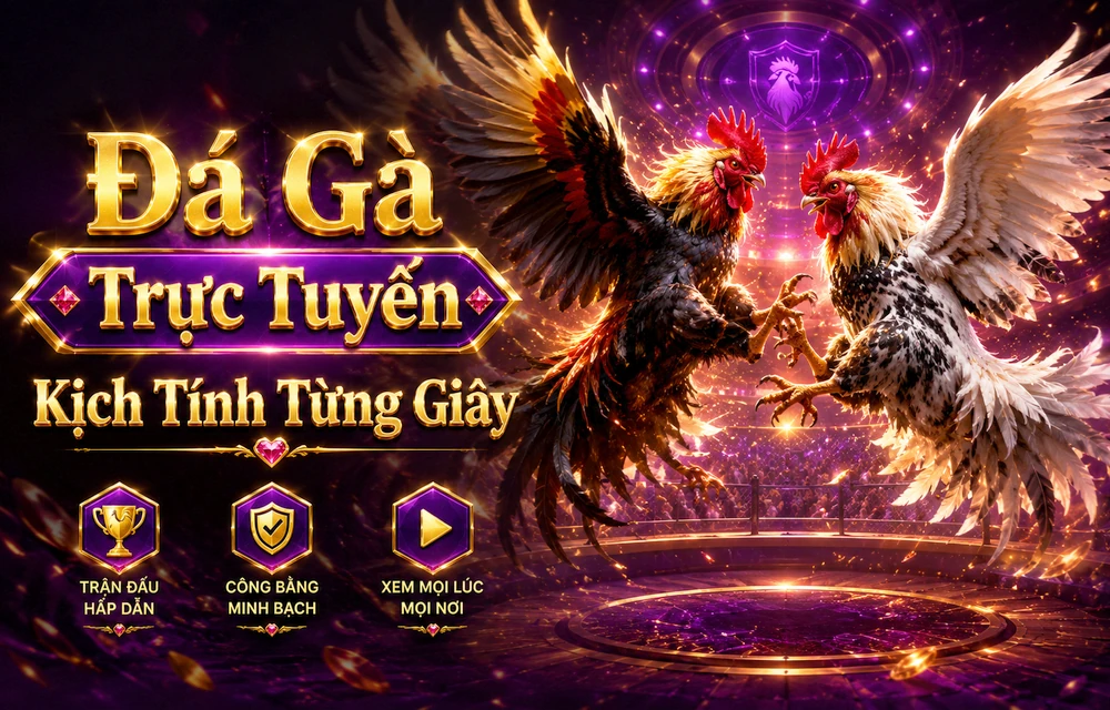 Trải nghiệm Bảo mật SKY88 trên điện thoại: cách sắp xếp thông tin dễ hiểu và điều hướng hiệu quả – SKY88